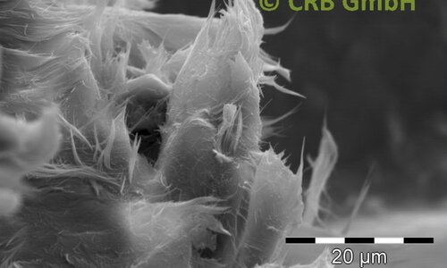 Amiante de chrysotile dans joints, image MEB | © CRB Analyse Service GmbH